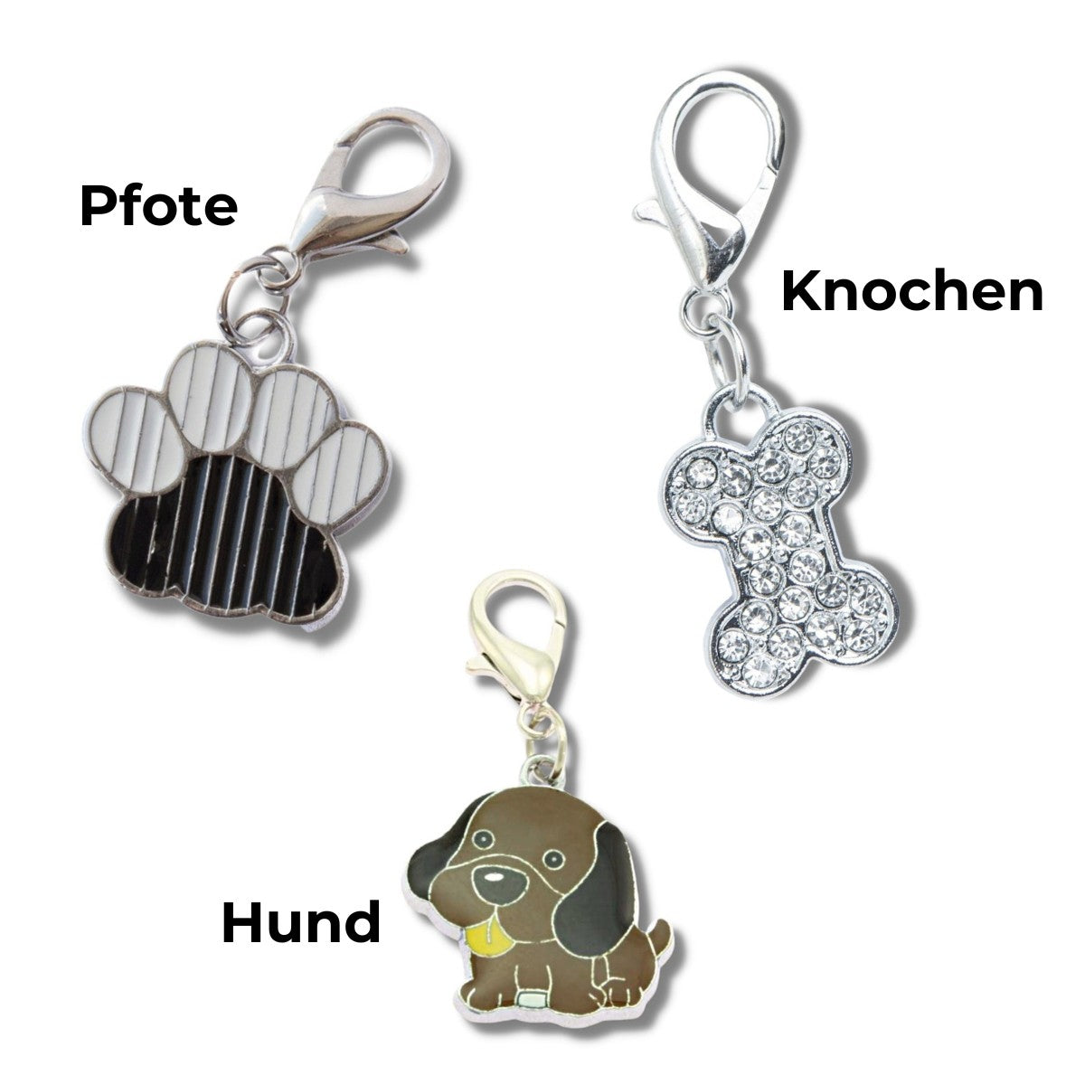 Anhänger für Hundehalsband