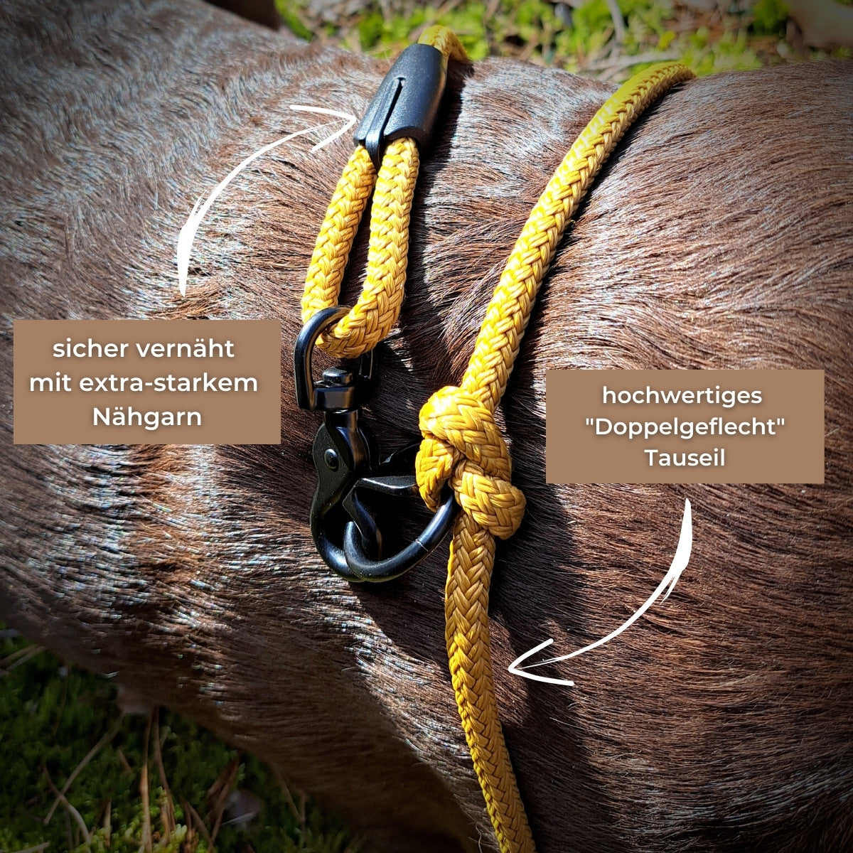 Beschreibung Hundeleine Eigenschaften