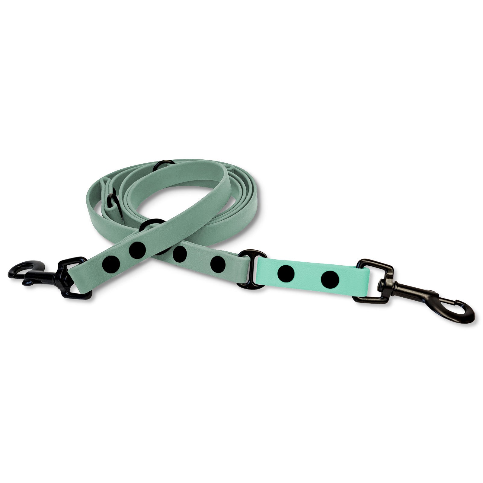 Biothane Sports Leine Minz Flash