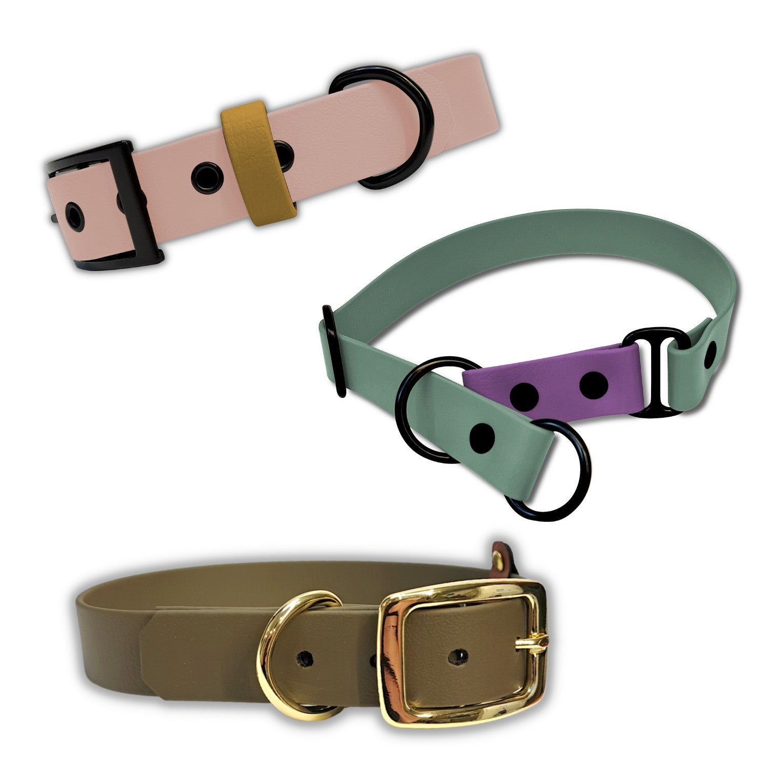 Hundehalsband aus Biothane und PVC-Gurtband