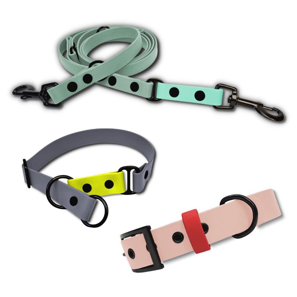 Hundeleine und Halsband aus Biothane in sportlichem Look - Kollektion