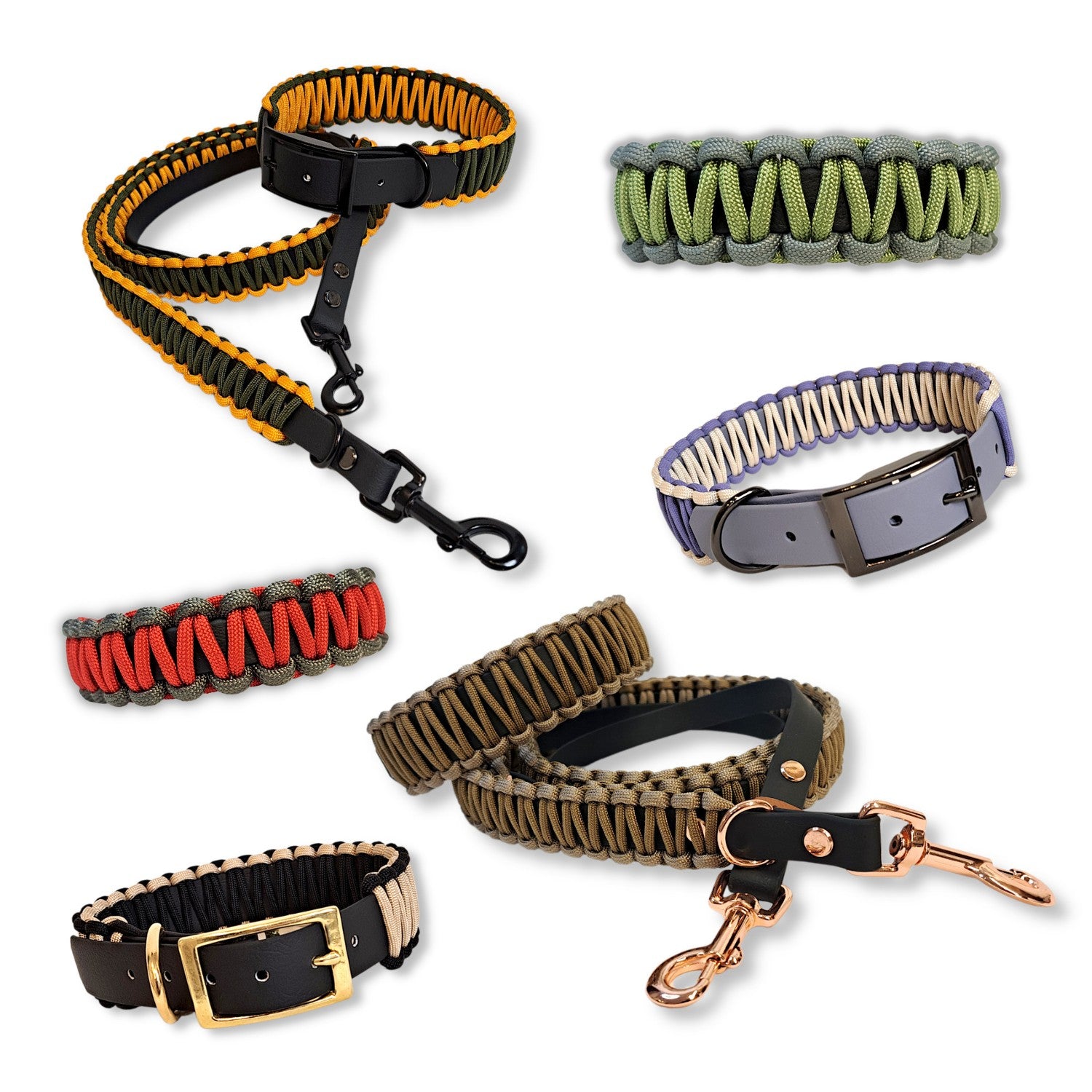 Leine und Halsband aus Paracord und Biothane
