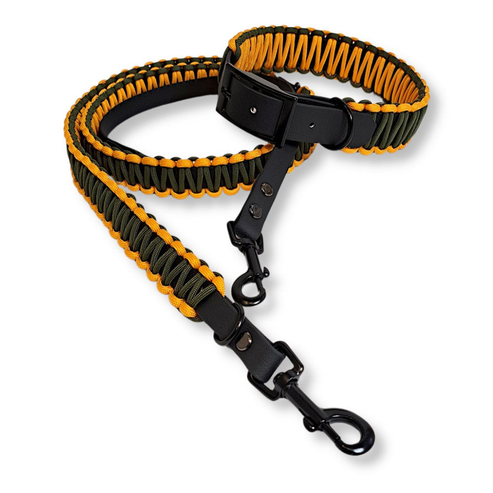 Hundeleine und Halsband Biothane Paracord