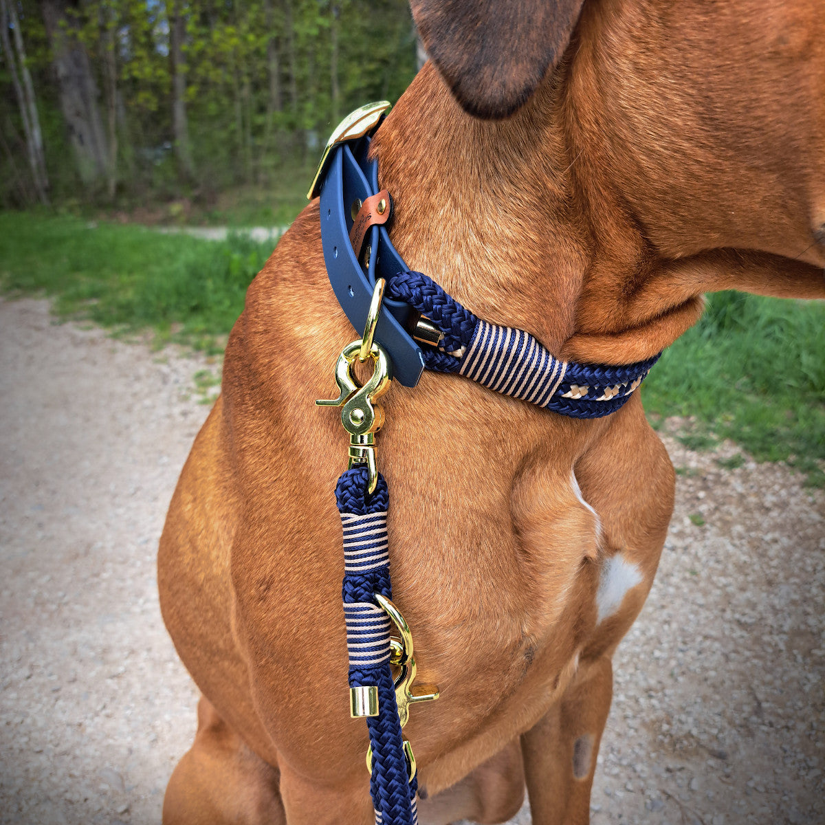 Luna mit Halsband Leinen Set Majestic Blau-Weiss