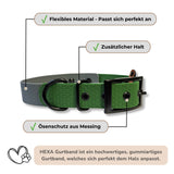 Features Hundehalsband Hexa Gurtband