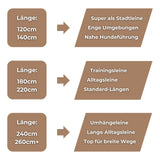 Gurtband Hundeleine Größen