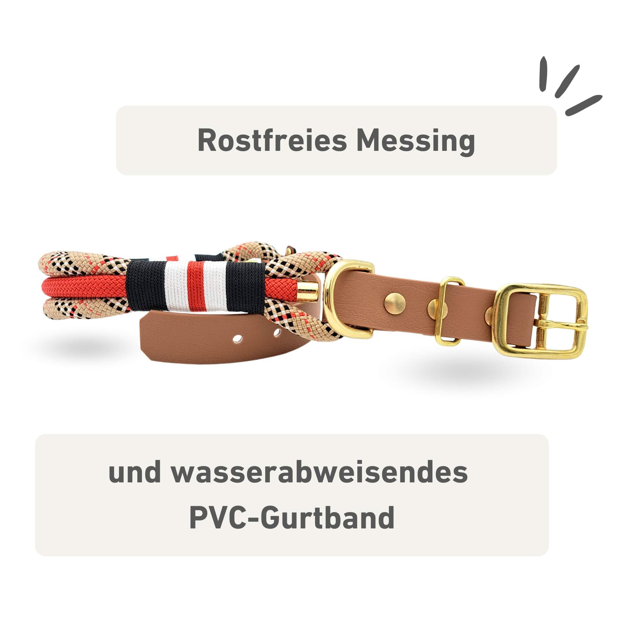 Tau-Hundehalsband in Karomuster und goldenen Messingbeschlägen.