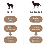 Größentabelle Halsband Hexa Gurtband