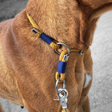 Zugstop Halsband aus Tauseil
