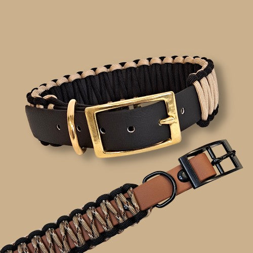Hundehalsband aus Biothane und Paracord