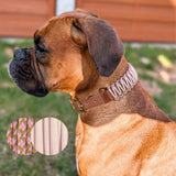 Bild im Grünen mit einem Hund, welcher zur Seite blick und ein handgefertigtes Halsband aus Paracord und PVC-Gurtband trägt