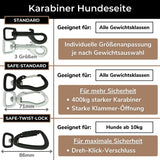 Empfehlung Karabinerstärke der Schleppleine