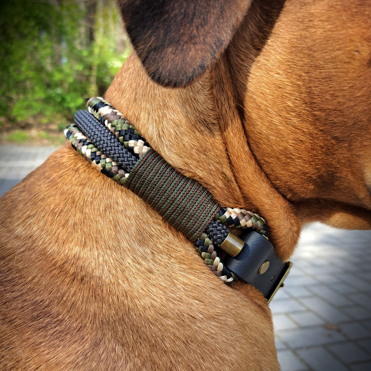 Halsband Triple Tauseil Camouflage an Hund