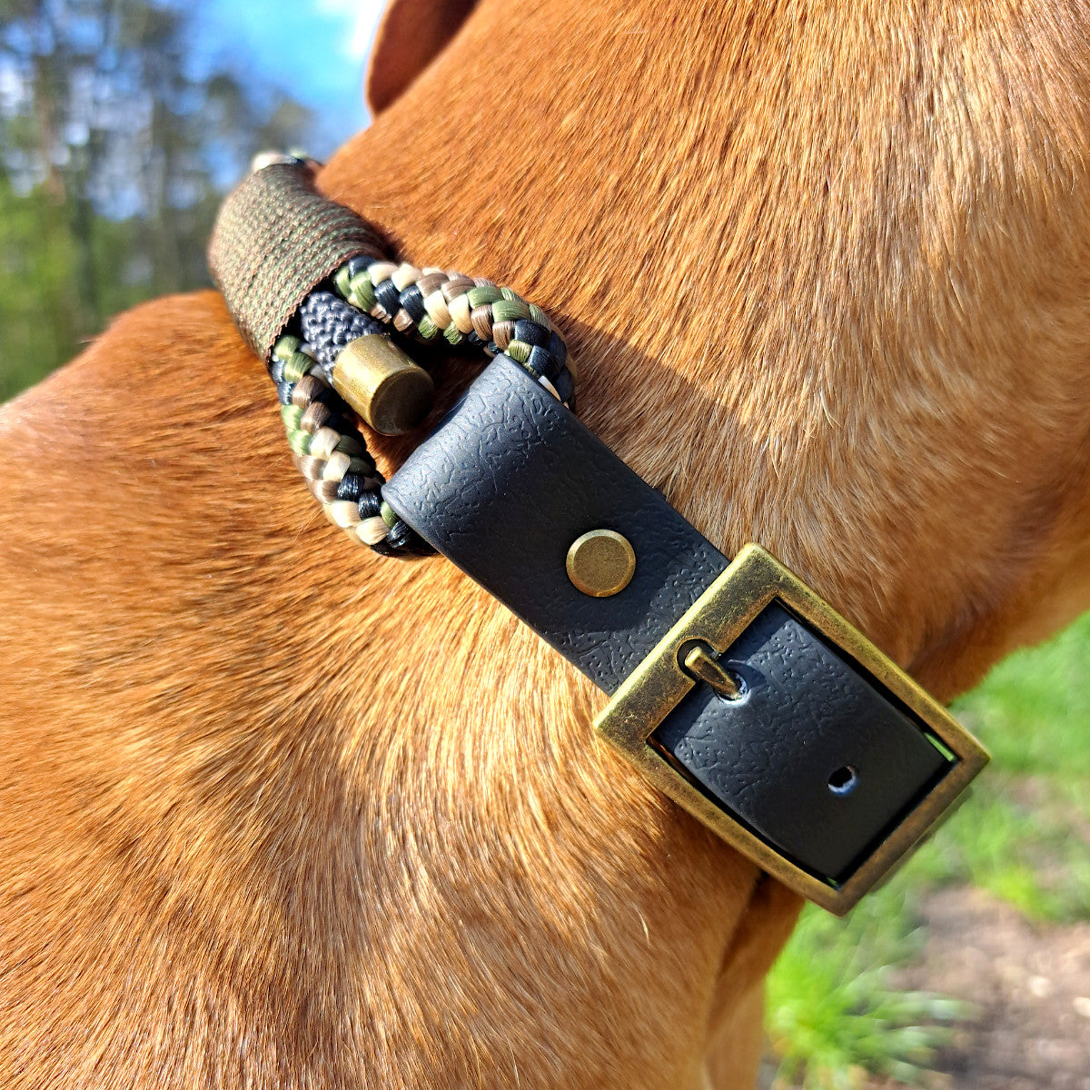 Halsband Triple Tauseil Camouflage an Hund