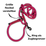 Retrieverleine mit sicherem Zugstopp - erklärt