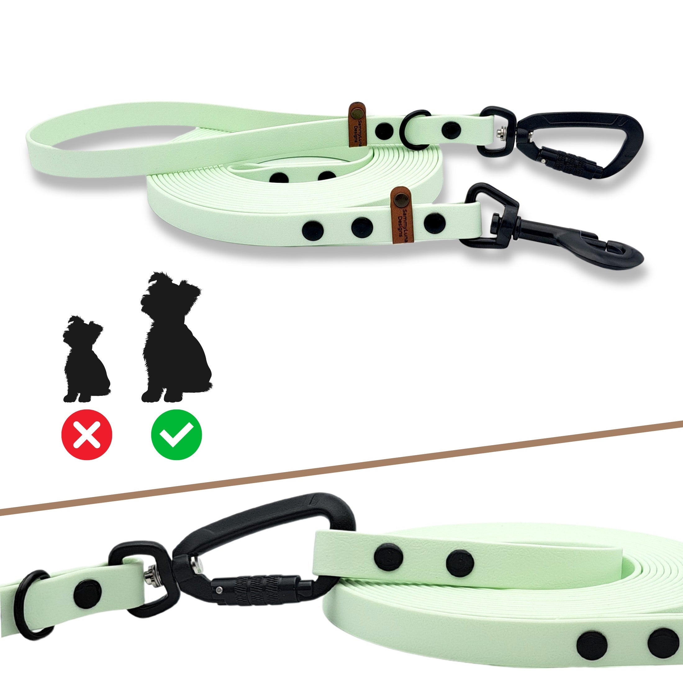 Automatische Hundeleine Für Kleine Hunde - Einziehbar Mit Komfortablem Handgriff