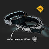 Leine und Halsband sicher bei Dunkelheit reflektiv