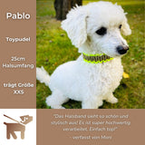 Pablo Testimonial Halsband SammyLunaDesigns