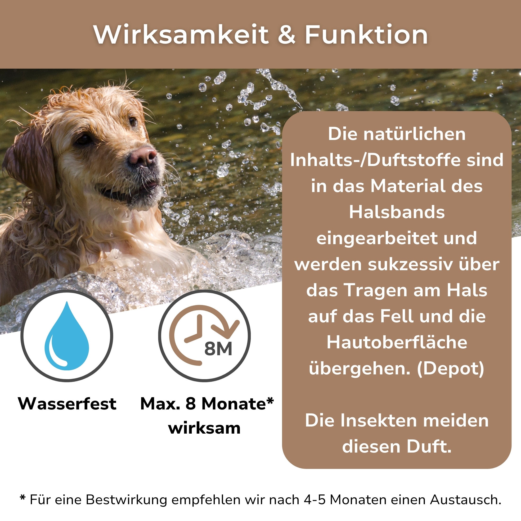 Beschreibung der Funktionsweise des wasserfesten Zeckenhalsbands