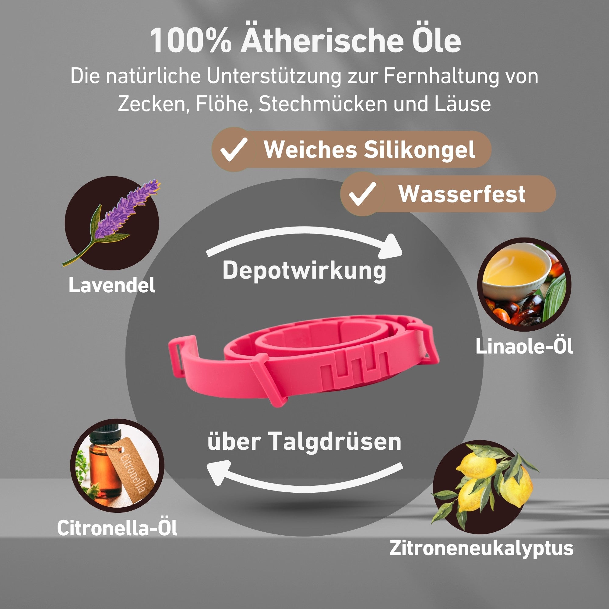 Depotwirkung des Zeckenhalsband mit natürlichen Inhaltsstoffen