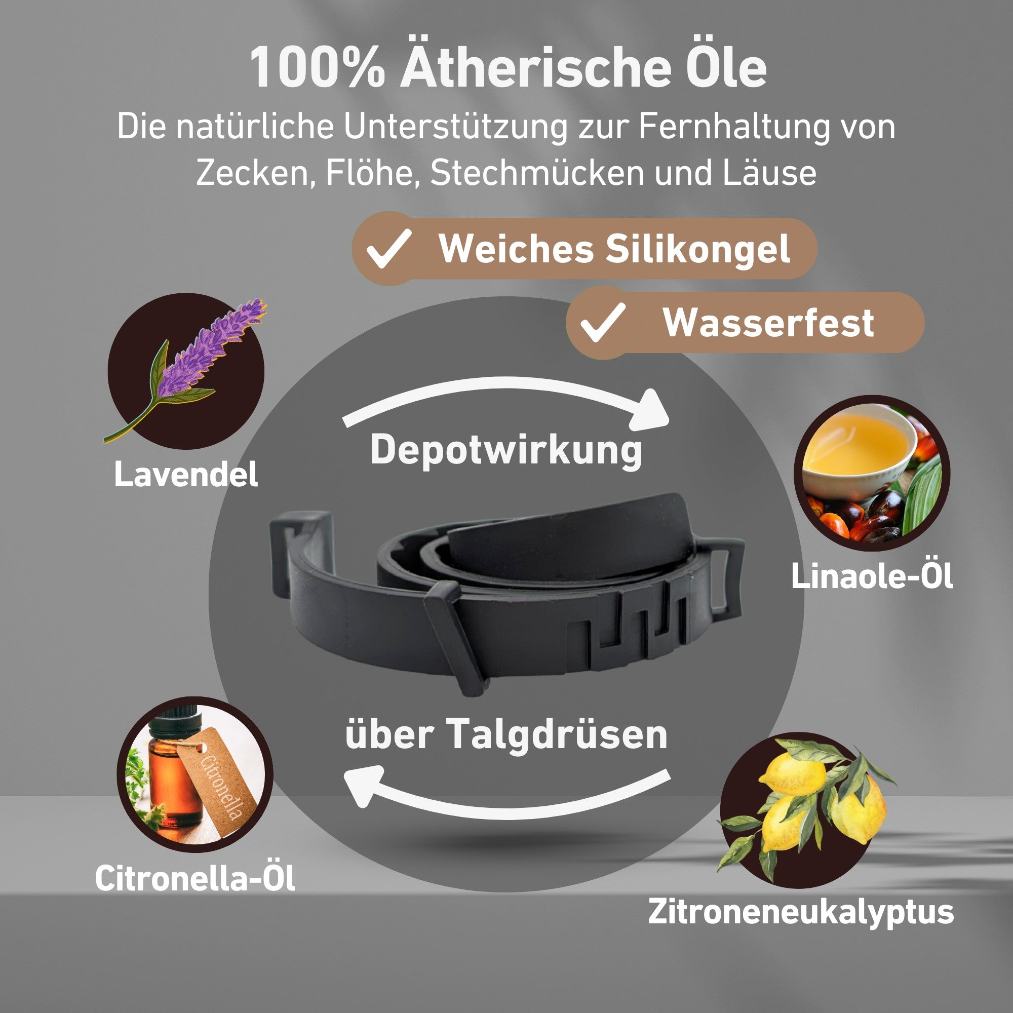 Zeckenhalsband für Hunde in schwarz mit natürlichen Inhaltsstoffen