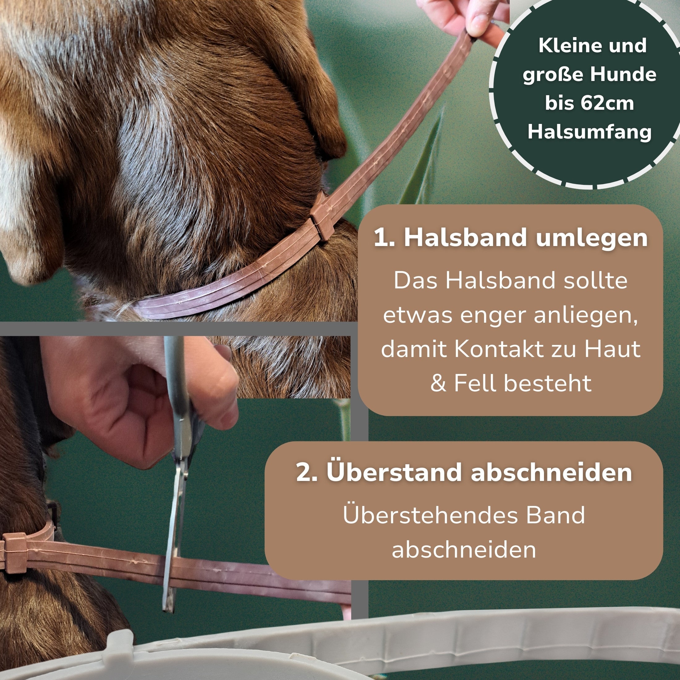 Anleitung für das Anti-Zeckenhalsband für Hunde