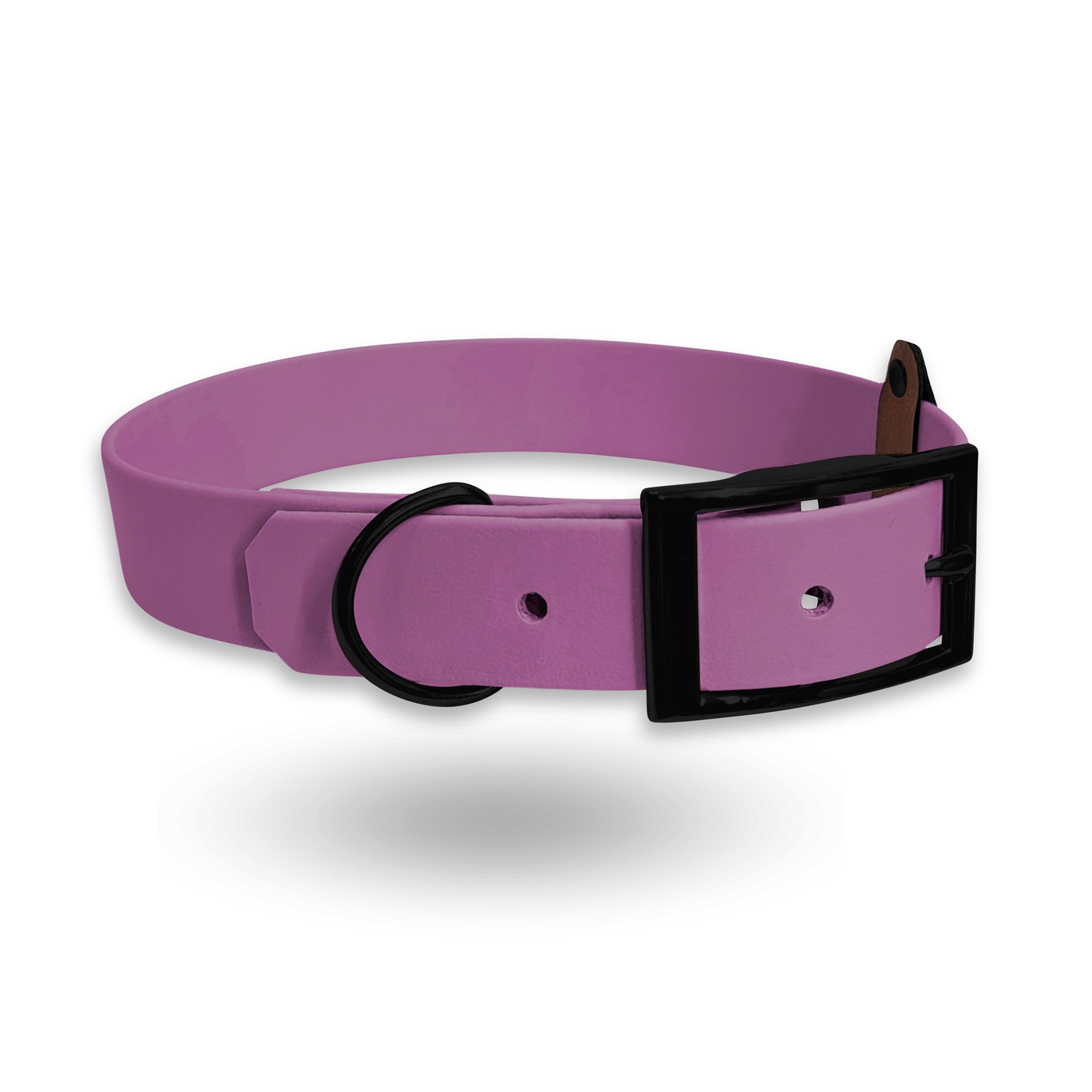 Biothane Halsband für Hunde in der Farbe Lila Amethyst