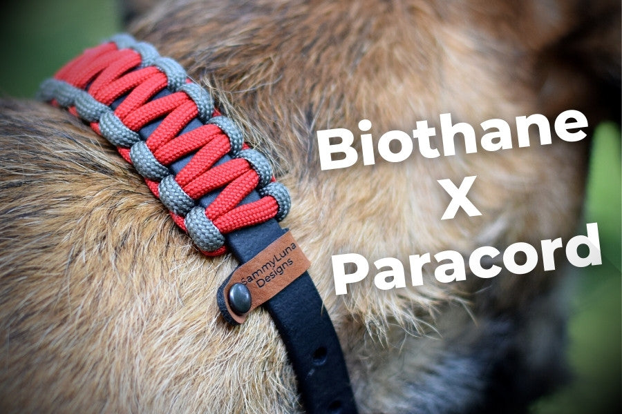 Biothane Paracord Hundehalsband mit Hund