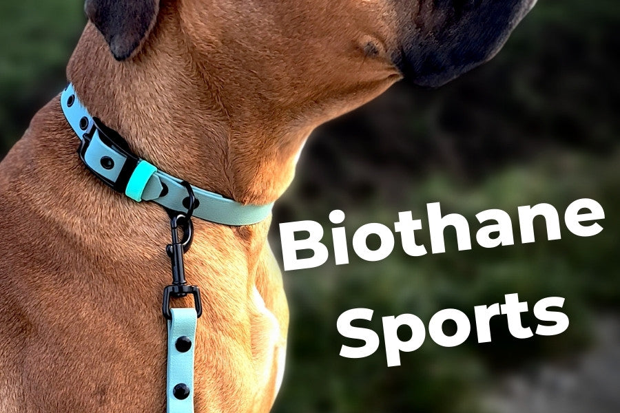 Biothane Sports Hundeleine und Halsband Teaser