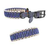 Hundehalsband graue Biothane mit lila Paracord