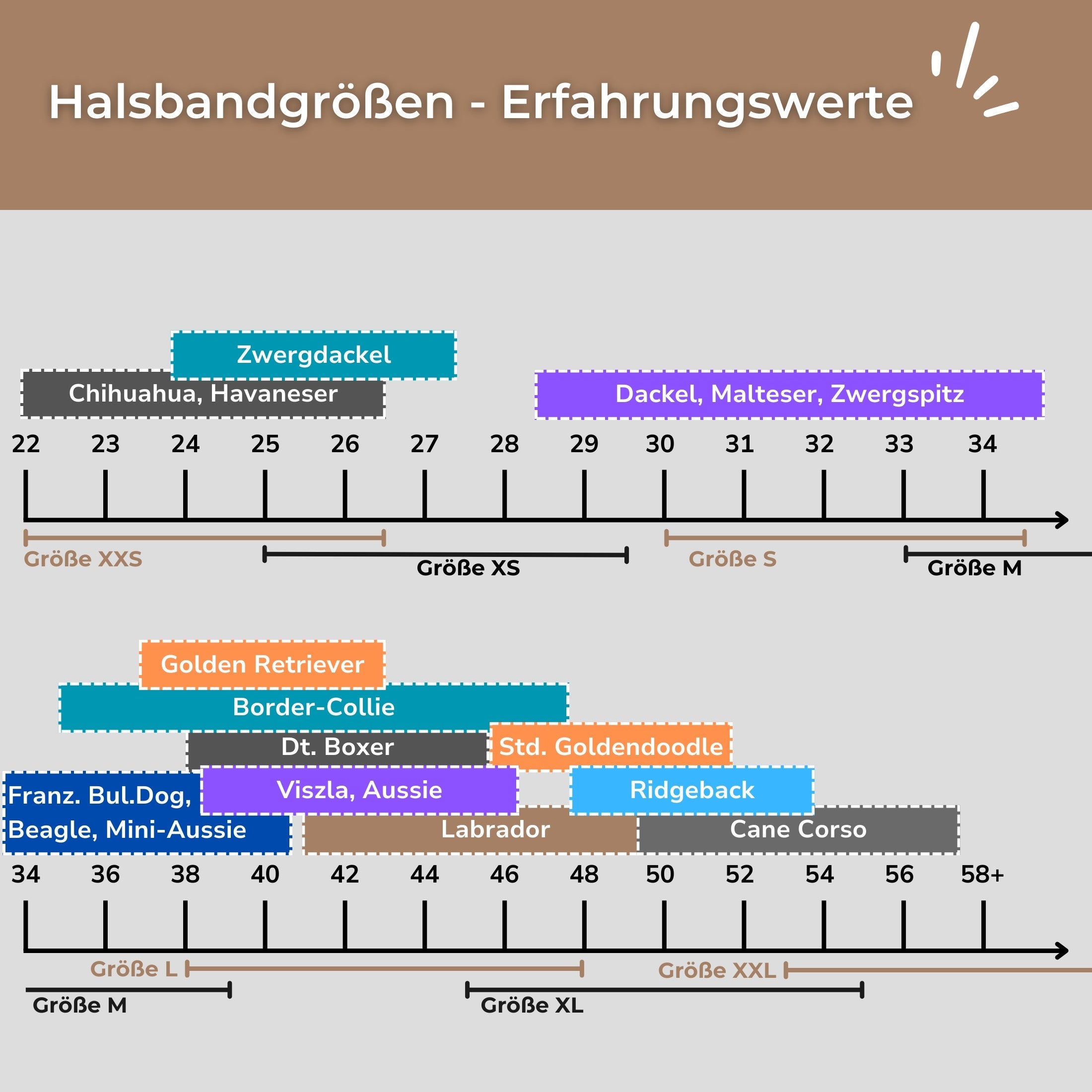 Erfahrungswerte BioThane Halsbänder Größen an kleinen und großen Hunden