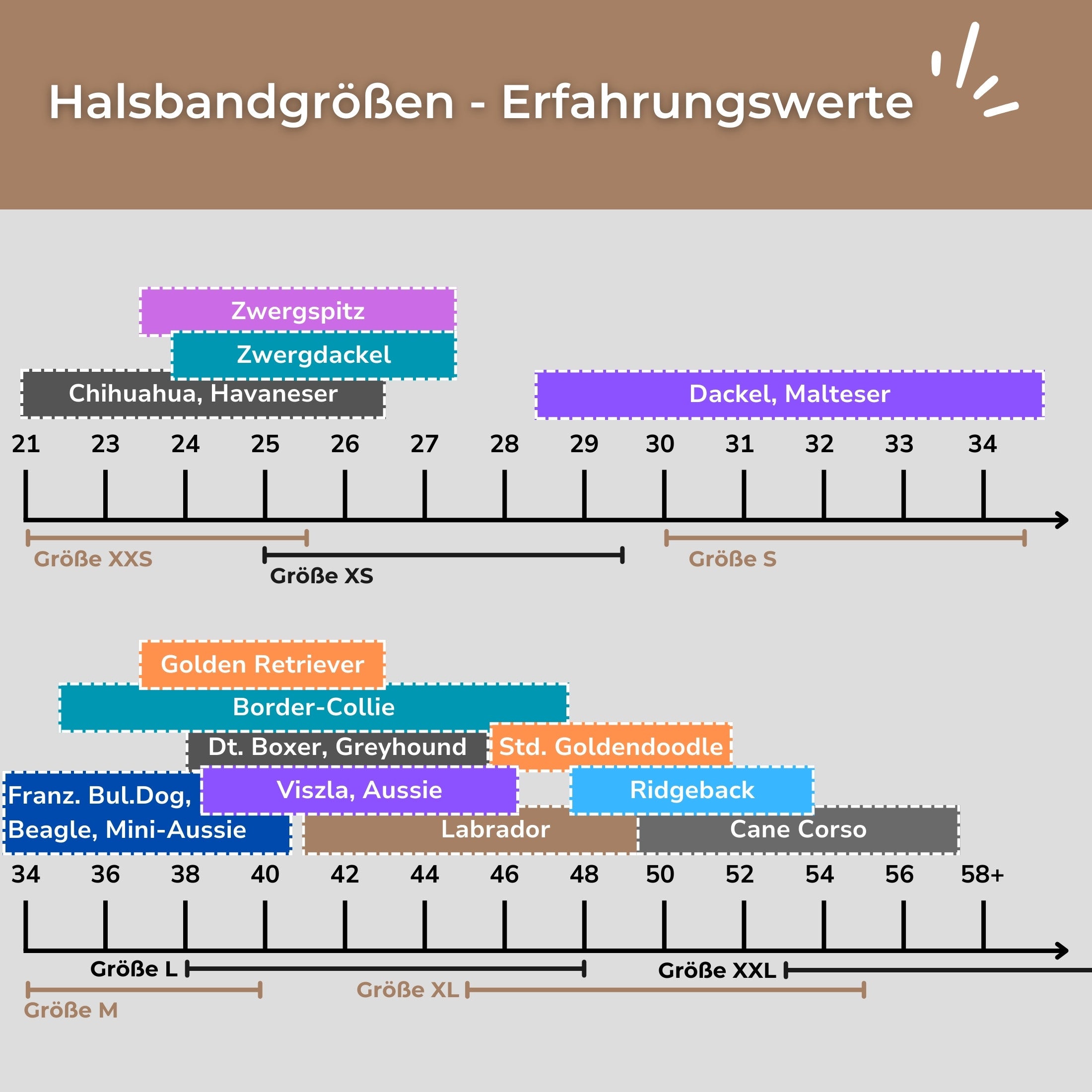 Rassentabelle Erfahrungswerte Halsbandgrößen