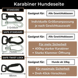 Karabinerauswahl Erklärung