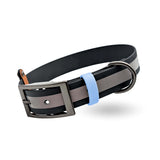 Reflektierendes Hundehalsband in schwarz mit polarblauem Farbakzent und grauglänzender Schnalle.