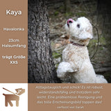 Testimonial Kundenfeedback Hundehalsband Kaya