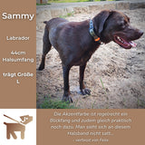 Labrador mit Biothane Halsband von SammyLunaDesigns