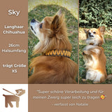 Testimonial Sky Hund mit Halsband aus Paracord Biothane