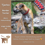 Testimonial Tjarko Halsband Rot Hund