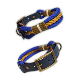 Hundehalsband antikes Design in Karamell und Blau