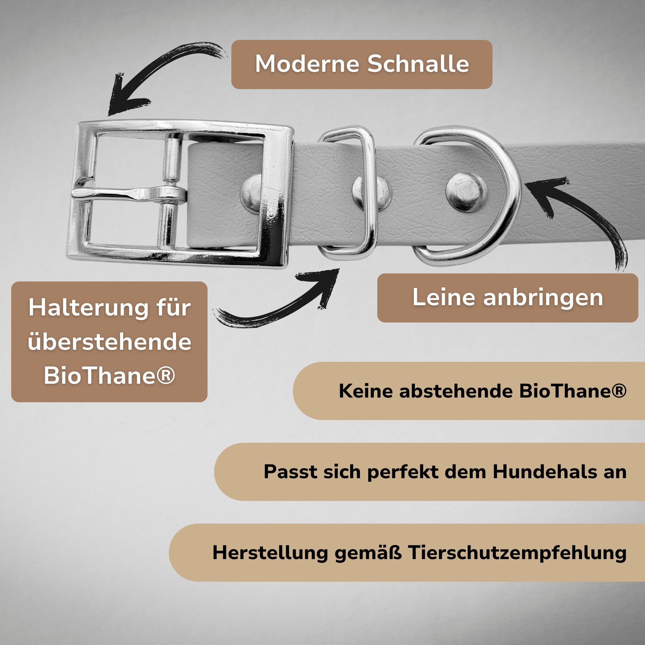 Biothane Gold Hundehalsband – 2,5 Cm Breit, Wasserfest & Robust, In 3 Längen Wählbar (55/60/65 Cm), Hergestellt In Frankreich