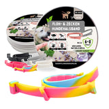 Zeckenhalsband für Hunde in regenbogen-Farben