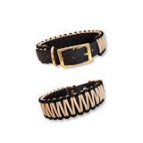 Hundehalsband aus Paracord X Gurtband in gold-schwarz creme Farben